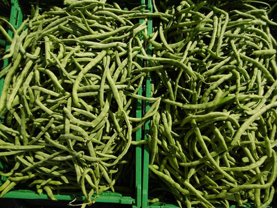Haricot mangetout