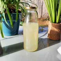 Savon liquide romarin vert chez-soi