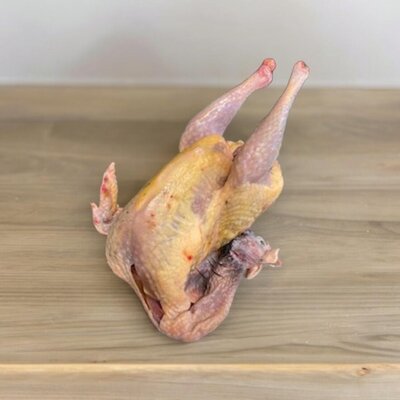 Pintade fermière