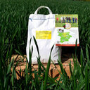 Farine t65  panifiable