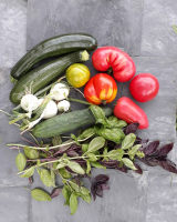 Panier de légumes frais de saison 10