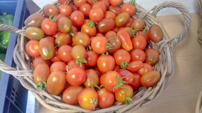 Tomates cocktails en mélange