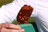 Lot 4 - esquimaux cacao/chocolat noir/pralin