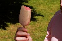 Lot 4 - esquimaux framboise/chocolat blanc