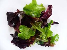 Salade en mélange