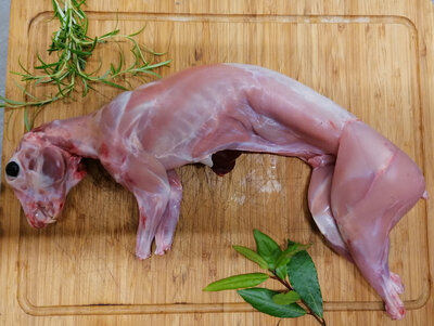 Lapin fermier
