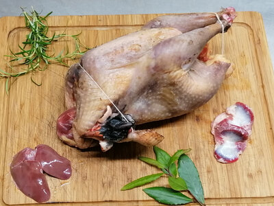 Pintade fermière