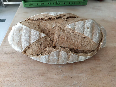Complet 500g