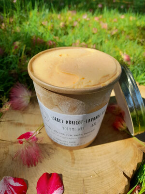 Sorbet abricot/lavande bio - 48cl