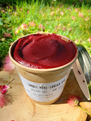 Sorbet mûre/sureau bio - 48cl