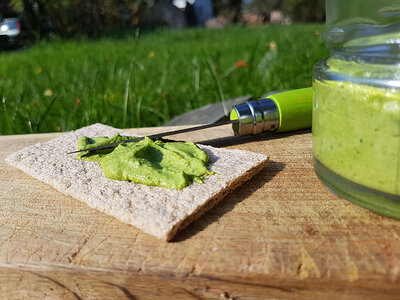 Pesto de saison