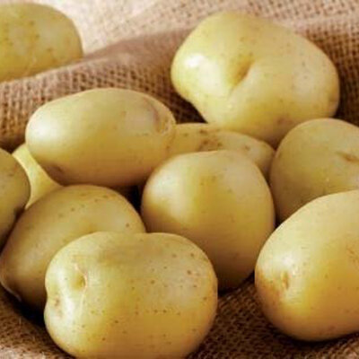 Pommes de terre agata