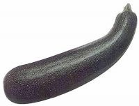 Grosse courgette à soupes