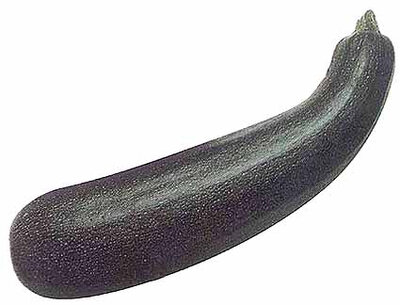 Grosse courgette à soupes