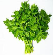 Botte de céleri bio