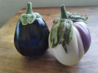 Aubergines
