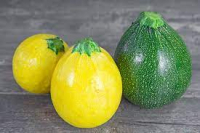 Courgette ronde