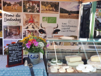 Galette tomme de montagne bio lindenhof