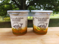 Yaourt sur lit d'abricot