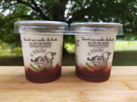 Yaourt sur lit de fraise