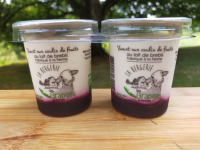 Yaourt sur lit de myrtille