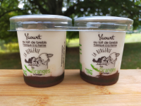 Yaourt sur lit de pruneaux