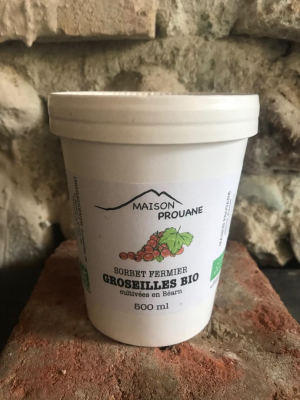 Sorbet fermier groseille