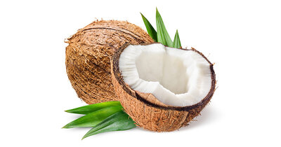 4 yaourts noix de coco