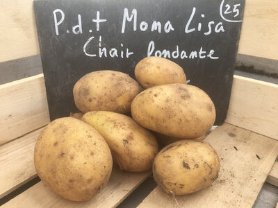 Pomme de terre emeraude