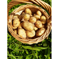 Filet de pommes de terres  bio et locales !!!