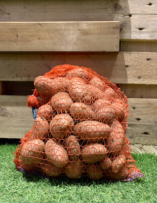 5 kg pomme de terre nouvelle cheyenne