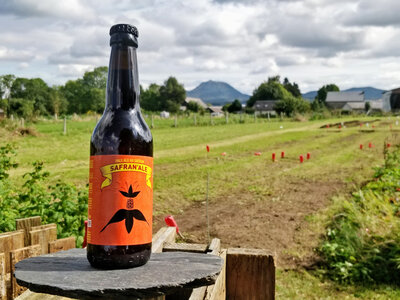 Bière safran'ale bio 33 cl