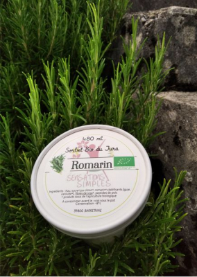 Sorbet romarin bio
