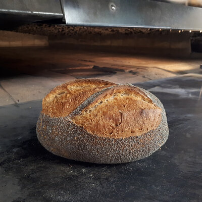 Pain au pavot