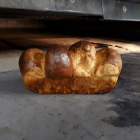 Grande brioche