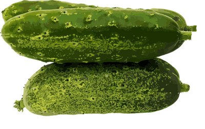 Concombre menthe citronnée