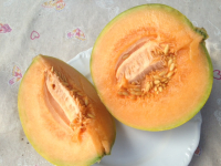 Melon