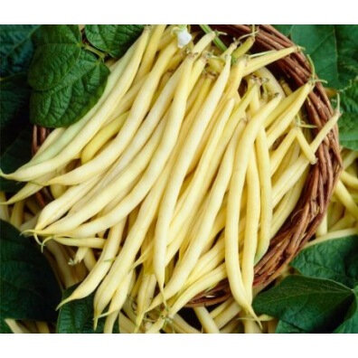 Haricot jaune