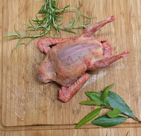 Pigeon de chair