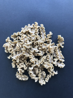 Pâtes au petit épeautre bio