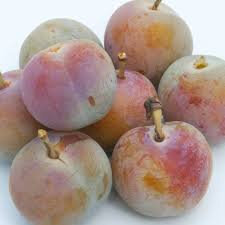 Prune reine claude