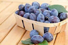 Prune quetsch