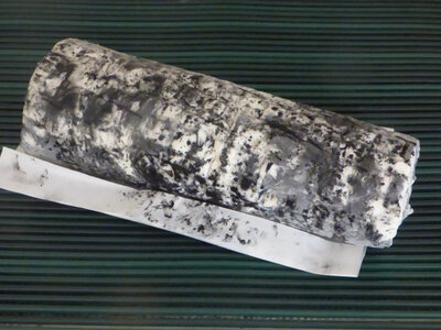 Buche cendrée