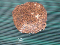 Enrobés poivron/paprika/graines de moutarde