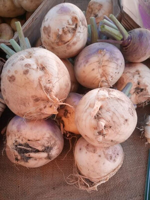 Rutabaga