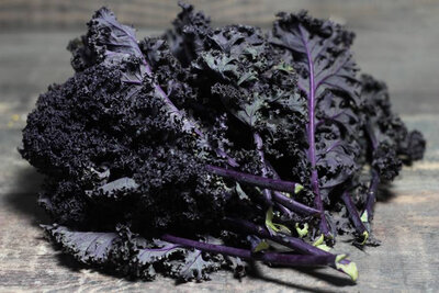 Chou kale violet