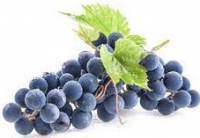 Raisin bio muscat de hambourg