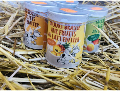 Assortiment de yaourt aux fruits jaunes