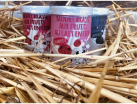 Assortiment de yaourt aux fruits rouges