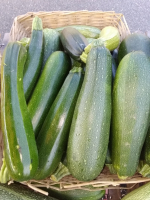 Courgette verte